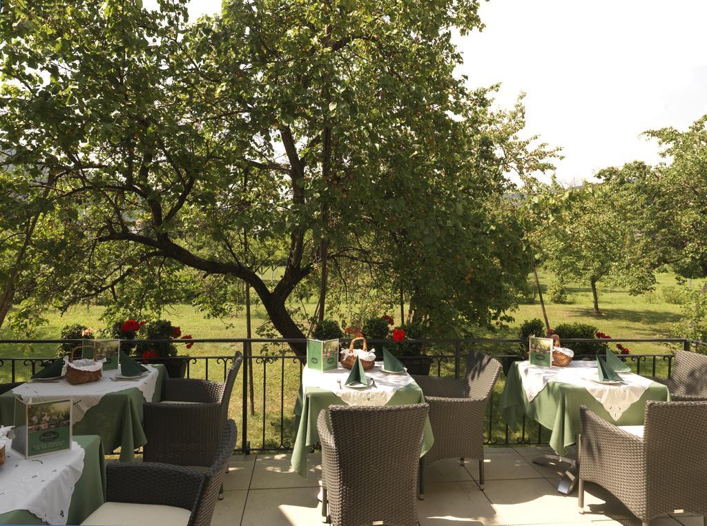 Donauhof - Hotel Garni Weissenkirchen in der Wachau Dış mekan fotoğraf