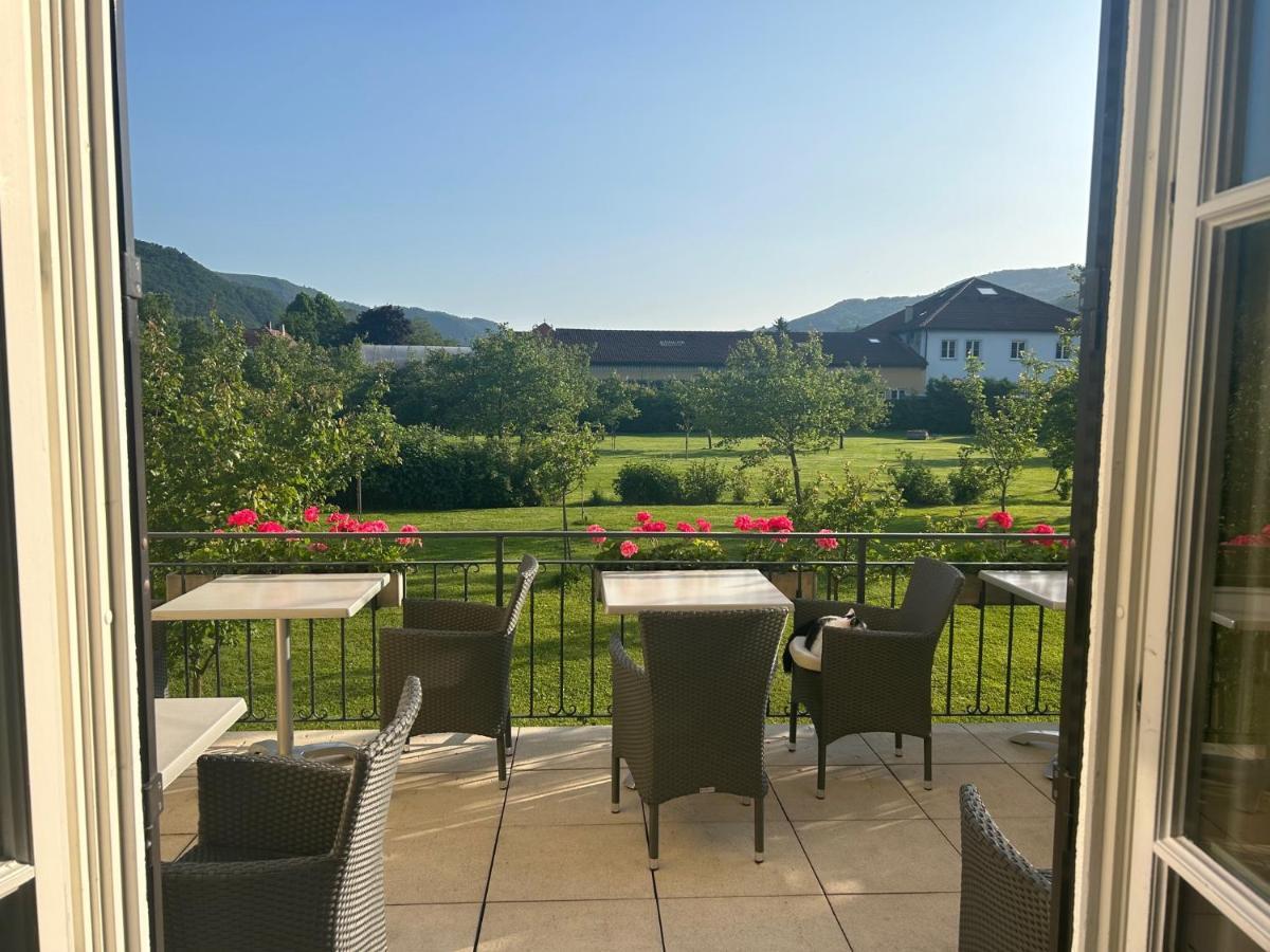 Donauhof - Hotel Garni Weissenkirchen in der Wachau Dış mekan fotoğraf