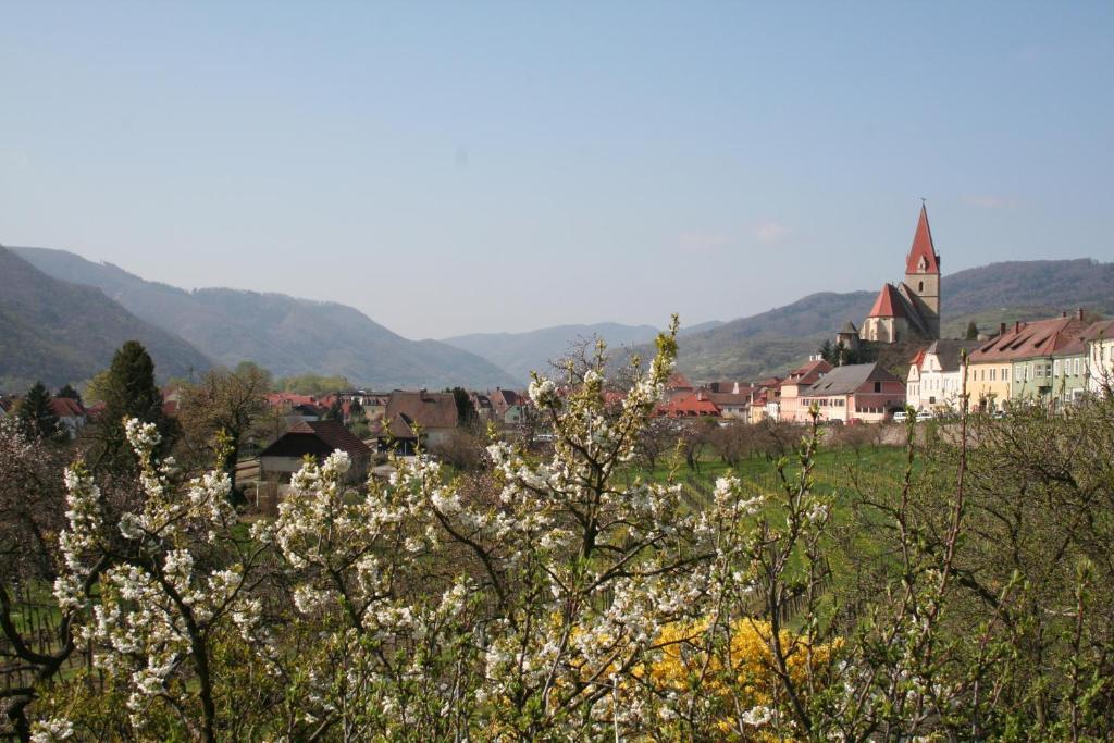 Donauhof - Hotel Garni Weissenkirchen in der Wachau Dış mekan fotoğraf